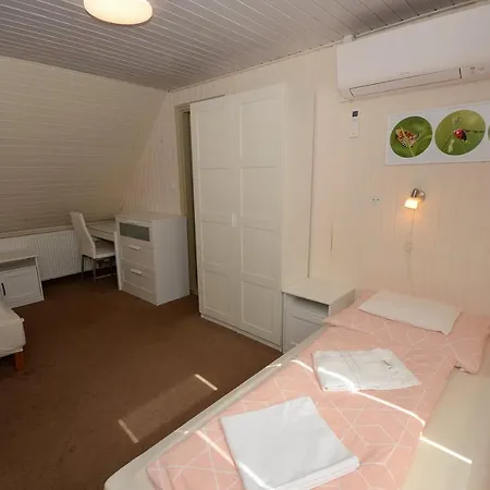 Kali Vendeghaz Holiday home *